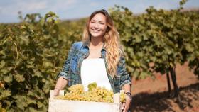 Журналисты и блоггеры посетили компанию «Кубань-Вино»