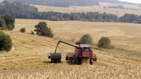 В Белоруссии зерновым угрожает засуха