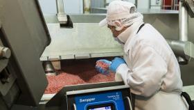 Россельхознадзор начал проверку электронной ветсистемы при экспорте из ЕС