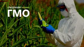 В России разработан план по развитию биотехнологий до 2020 года