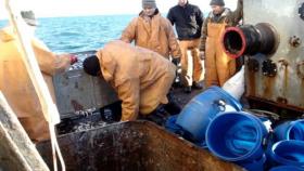 На Кубани откроют первый специализированный завод по переработке хамсы