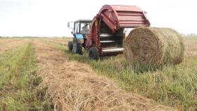 Минсельхоз РФ объявил об успешном завершении заготовки кормов