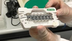 Россельхознадзор сообщил об итогах рабочей поездки в Италию