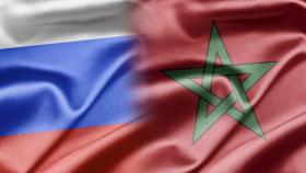 Марокко станет центром экспорта российской сельхозпродукции в Африку