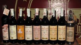 «Массандра» хочет через десять лет увеличить выпуск вина в три раза