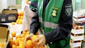 В России предлагают внезапные проверки производителей продуктов