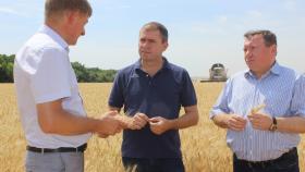 На Дону уже собрали восемь миллионов тонн зерна