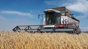 Совэкон: Россия перегонит США по экспорту пшеницы