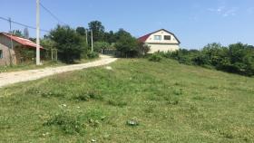 Сочинские садоводы заявляют о нецелевом расходовании их взносов