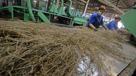 В Тульской области построят десять заводов по переработке льна
