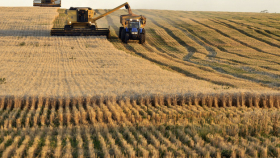 В Аргентине опасаются запоздания с севом пшеницы