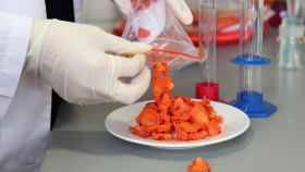 Астраханская студентка изобрела рецепт полезных морковных чипсов
