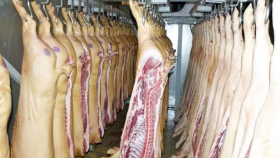 «Мираторг» увеличил производство свинины на 6,2%