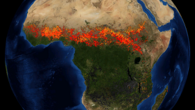 Африканские фермеры допустили массовые лесные пожары