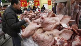 Пекин начинает закупочные интервенции на рынке свинины