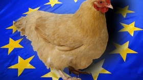 ЕС прекратил импорт украинской птицы из-за гриппа