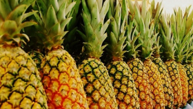 В России введут маркировку для ананасов с ГМО