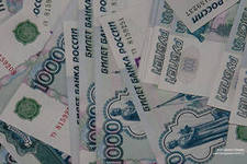Более 4 миллиардов рублей инвестировано правительством на поддержку скотоводства