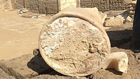 Самый древний сыр обнаружен в египетской гробнице