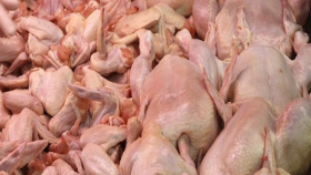 Тамбовцы могут получить разрешение на поставку мяса птицы в ОАЭ