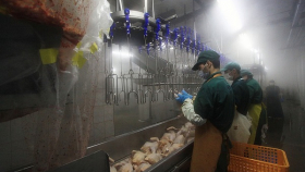 Пожар на приморской птицефабрике не повлияет на производство мяса