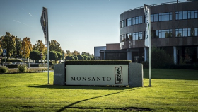 Monsanto представит новые продукты для протравливания семян кукурузы