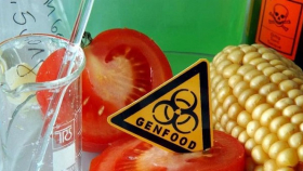 Иностранные компании представили полезную ГМО-продукцию