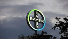 Bayer откроет центр протравливания семян в Курской области в 2017 году