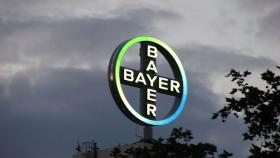 Bayer откроет центр протравливания семян в Курской области в 2017 году