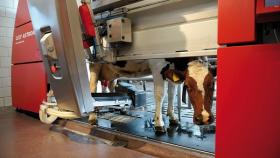 Голландская компания откроет площадку по сборке доильных роботов в Калуге
