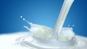 МСХ РФ: Россия может увеличить производство молока к 2020 году на 5 млн. тонн