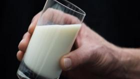 Производство молока в РФ выросло почти на три процента