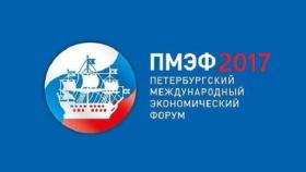 РФПИ заключил на питерском форуме контракты на более чем 100 млрд руб.