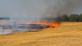 В Рыбно-Слободском районе в ходе космомониторинга зафиксировали горение стерни