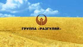 Суд официально признал «Разгуляй» банкротом