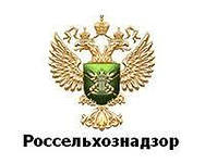 Россельхознадзор развеял миф о препятствовании экспорту в Крым украинской продукции