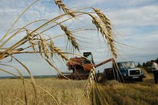 В Башкирии запустят программу по развитию СПОКов