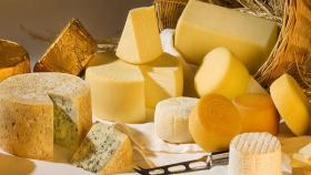 Россия на 69 процентов увеличила импорт сырных продуктов