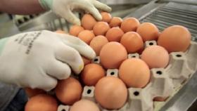 В Болгарии нашли яичную продукцию с фипронилом