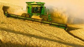 В центре Украины урожайность зерновых снизится из-за засухи