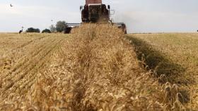 В Карачаево-Черкесии начали долгожданную уборку зерновых