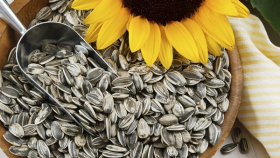 Ученые из США говорят о возможном вреде подсолнечных семян