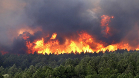 Генпрокуратура озвучила ущерб от бесполезных средств тушения лесных пожаров