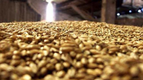 Индонезия откажется от импорта фуражного зерна в этом году