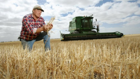 В 5 регионах Украины завершилась уборка ранних зерновых
