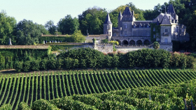 Виноделы из Бордо увеличивают цены на винтажные вина