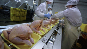 Россия ограничит транзит в Казахстан мяса птицы из США