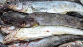 В российских магазинах может оказаться просроченная рыба