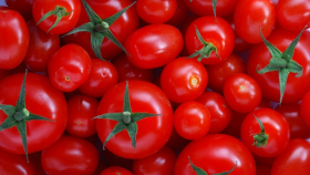 Россия отказалась от возобновления импорта турецких томатов