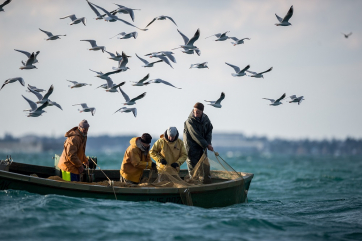 В России начали лишать иностранцев квот на ловлю рыбы